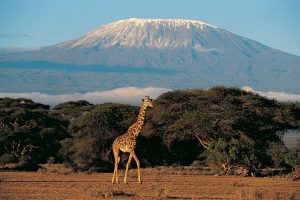 Volunteer In Tanzania Kilimanjaro